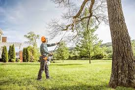 Best Hedge Trimming  in Monteagle, TN